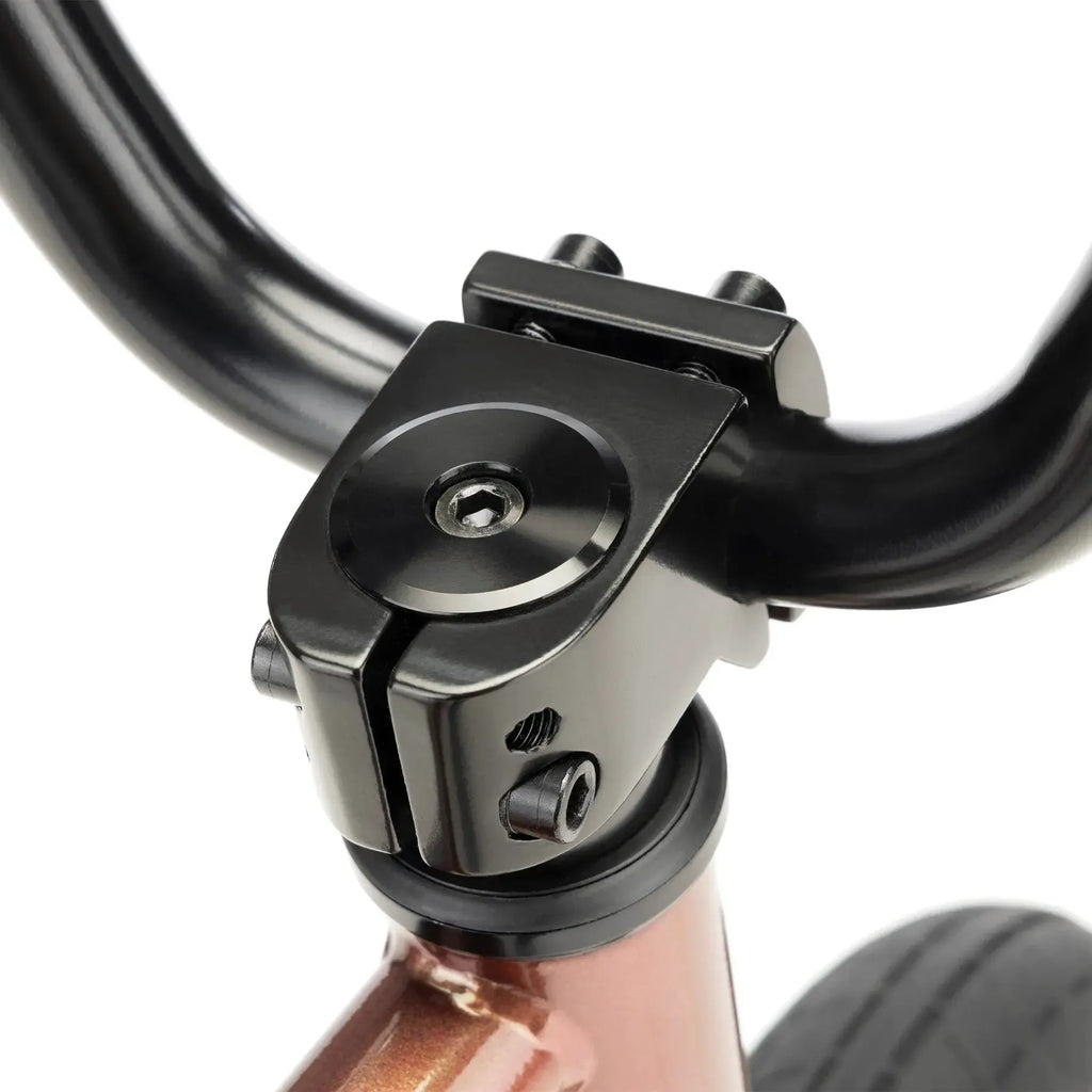 Kink Roaster 12 Inch Bike (2026)