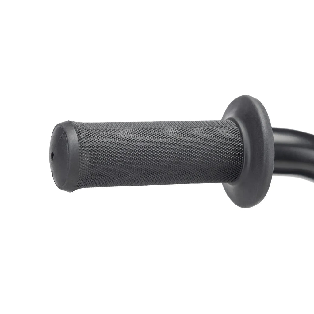 Kink Roaster 12 Inch Bike (2026)