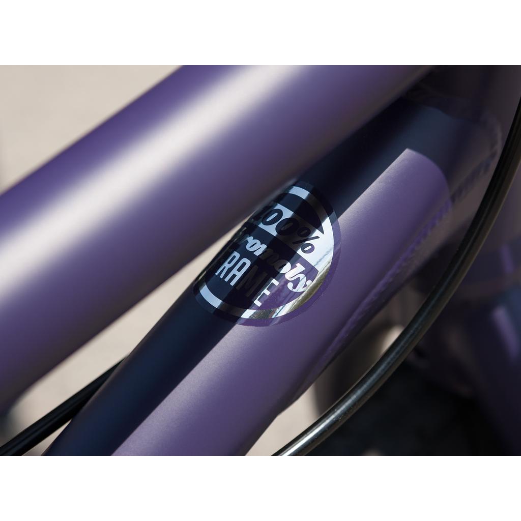 Sunday Forecaster Maca Grasset 20 Inch Bike