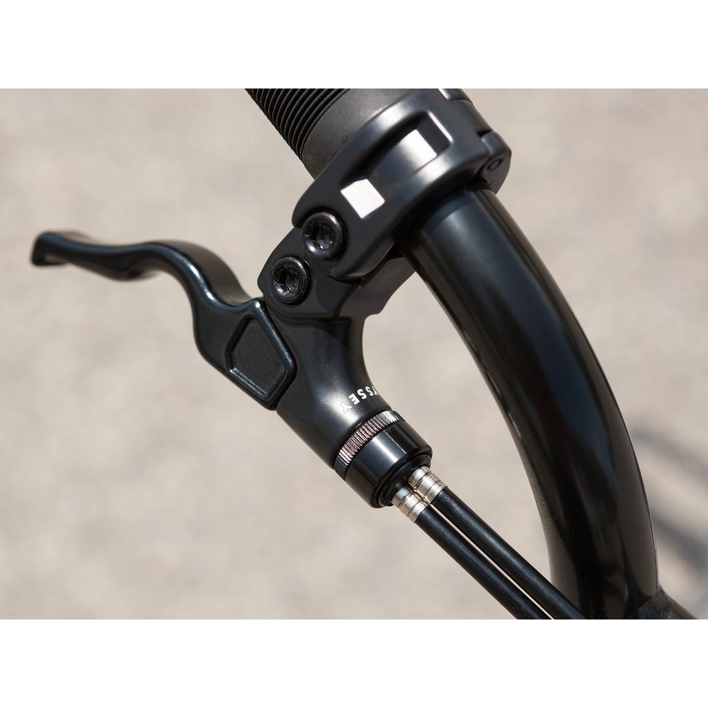 Sunday Forecaster Maca Grasset 20 Inch Bike