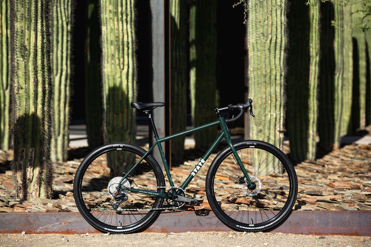 4130 All-Road - Alpine Bloom (12 Speed / UDH)