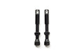 Tubeless Valves (Pair) w/ Valve Core Remover