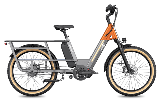 Letrigo Minivan Electric Bike