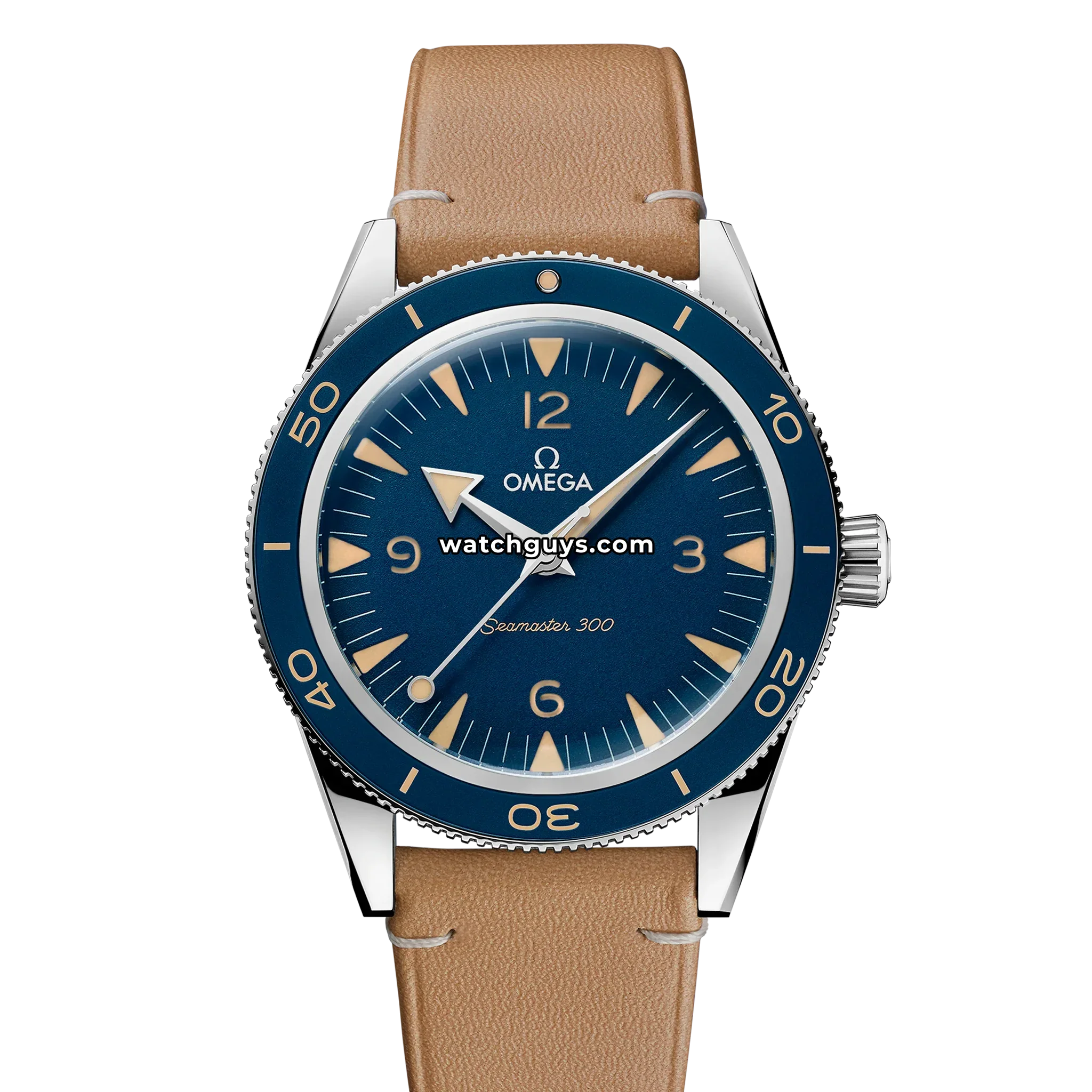 Omega Seamaster 300 Co-Axial Master Chronometer 234.32.41.21.03.001