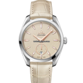 Omega Seamaster Aqua Terra 220.13.38.20.09.001