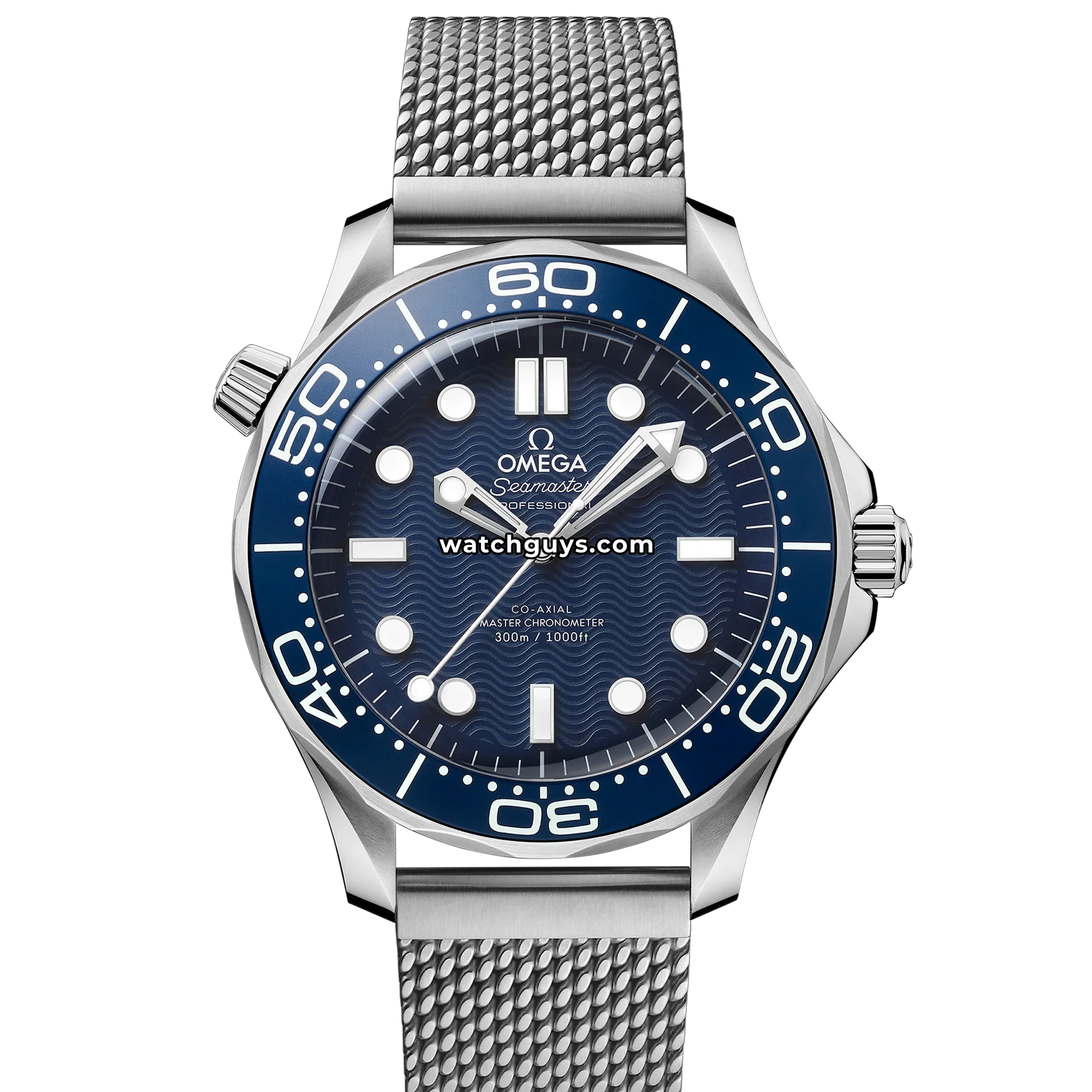 Omega Seamaster Diver 210.30.42.20.03.002