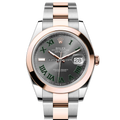 Rolex Datejust 126301 Wimbledon Oyster