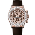 Rolex Daytona 126555TBR "Giraffe" Oysterflex