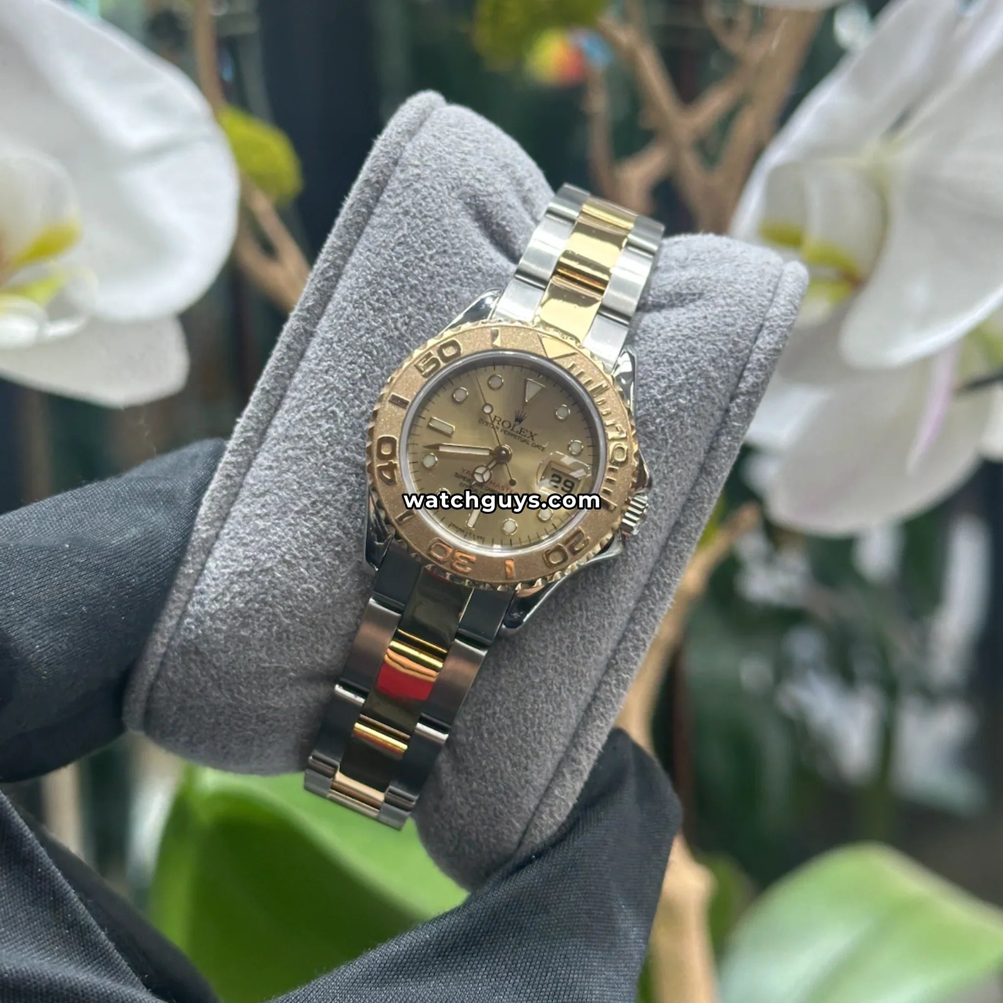 Rolex Yacht-Master 69623 Champagne