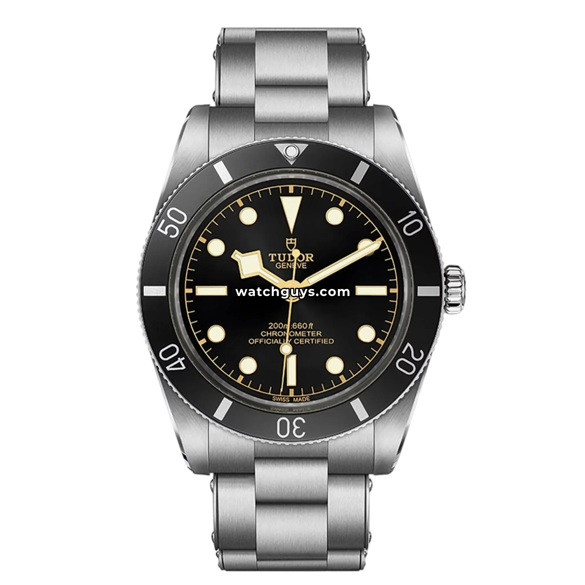 Tudor Black Bay 54 79000N