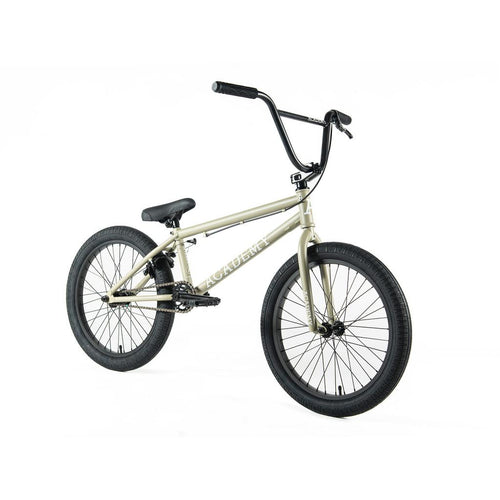 Academy Entrant 20 Inch Bike