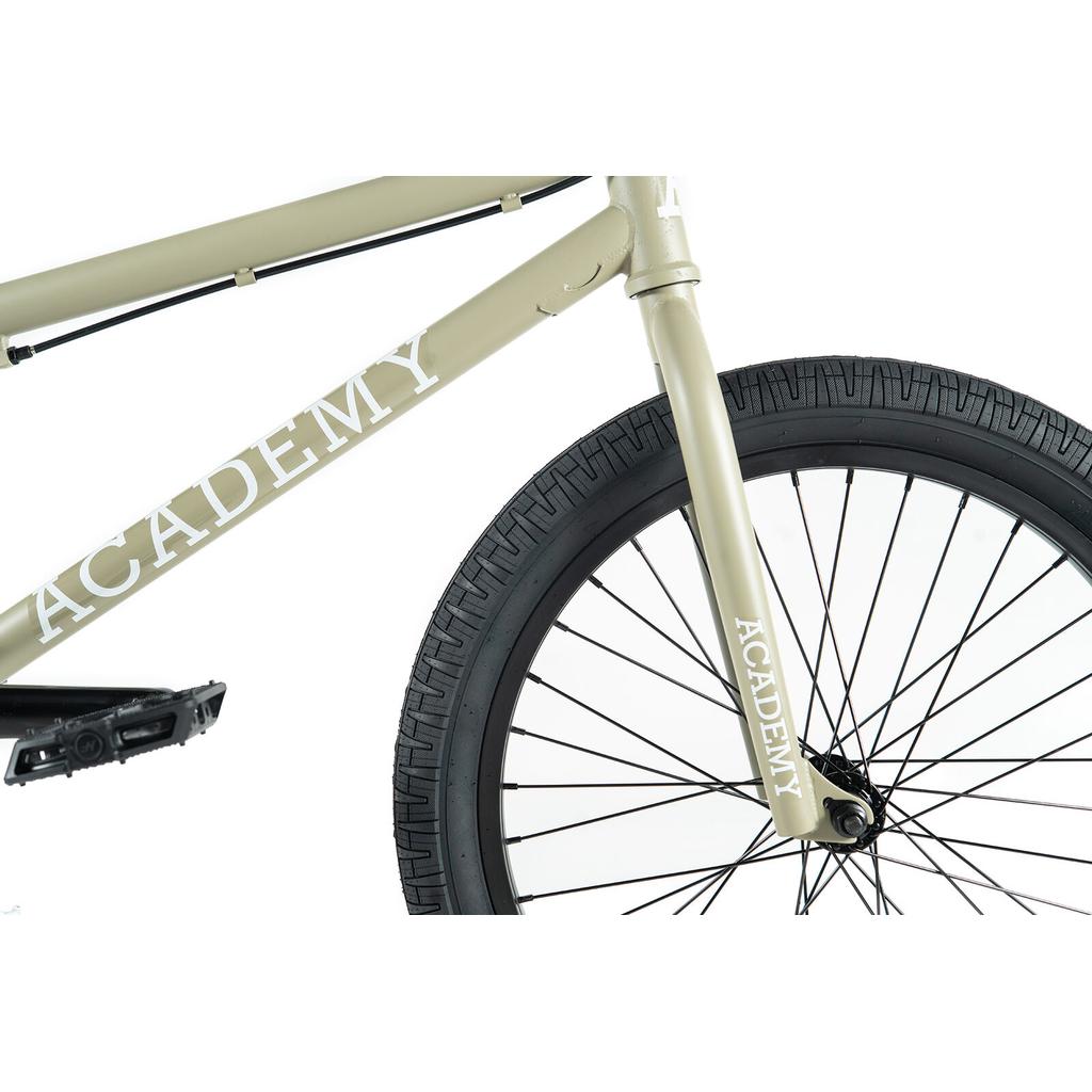 Academy Entrant 20 Inch Bike