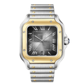 Cartier Santos Large W2SA0030