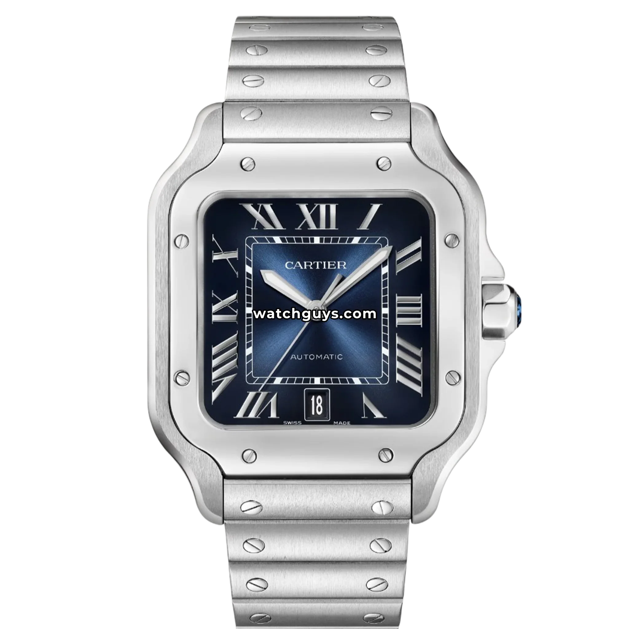 Cartier Santos Large WSSA0071 Blue