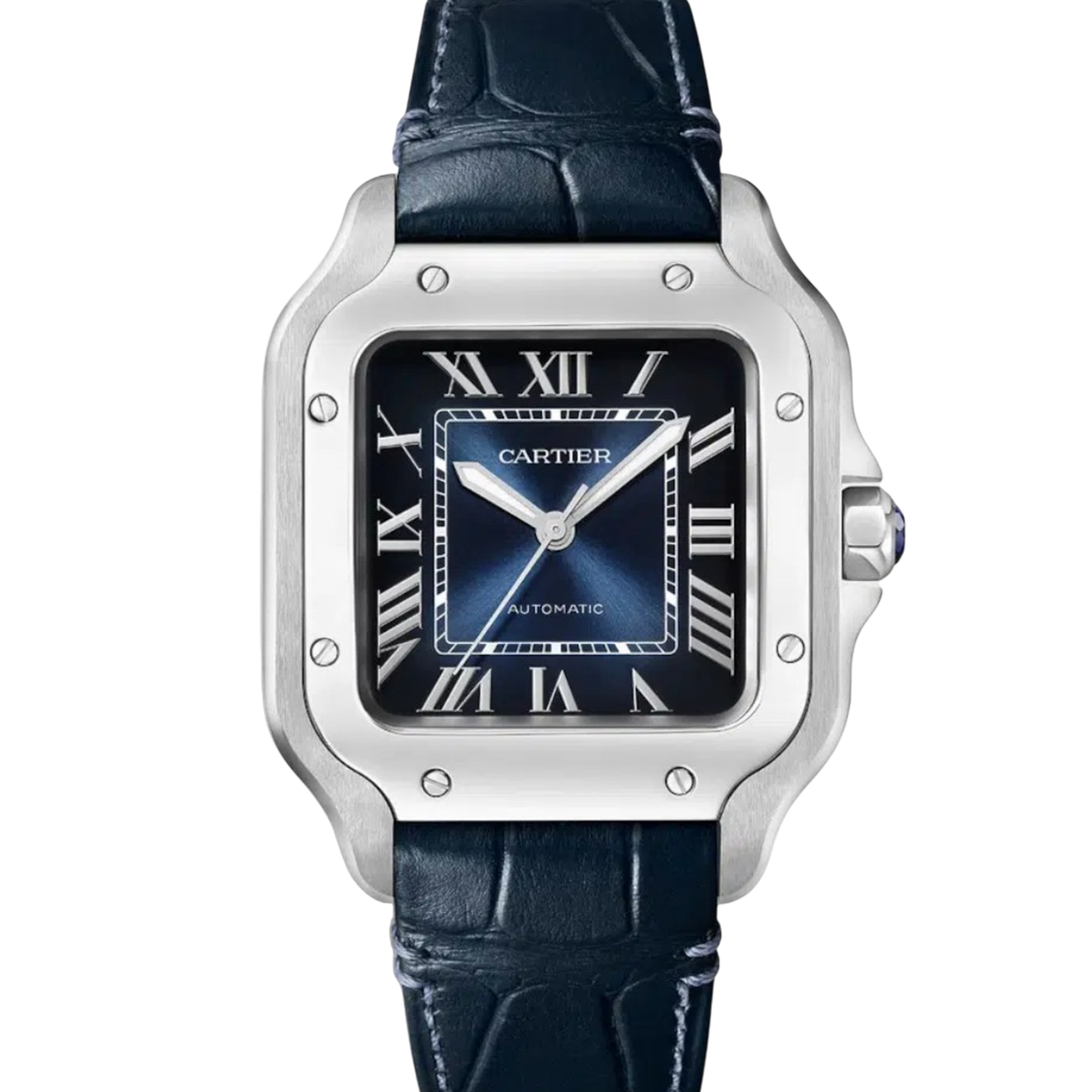 Cartier Santos WSSA0063 Blue