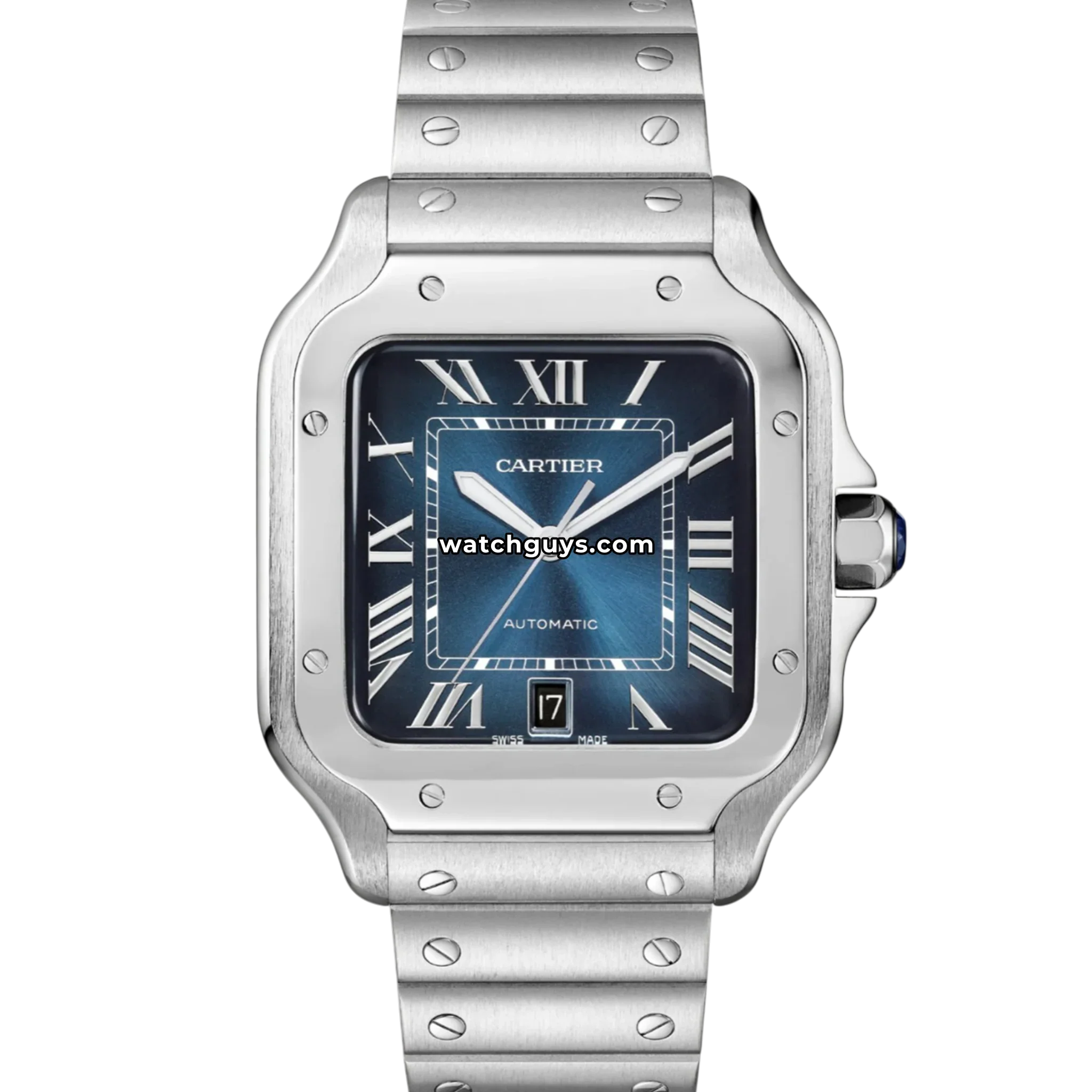 Cartier Santos WSSA0013 Blue