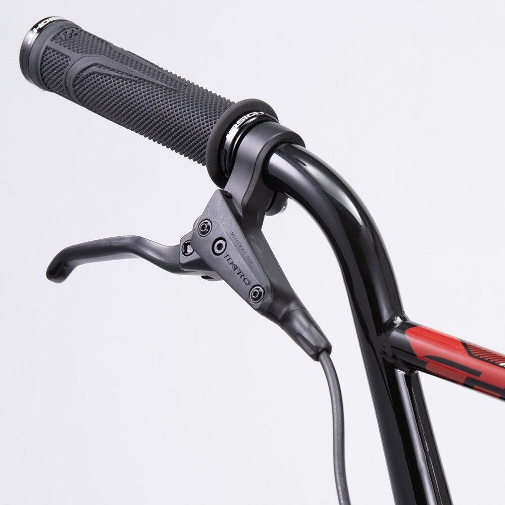 Chase Element Expert Bike