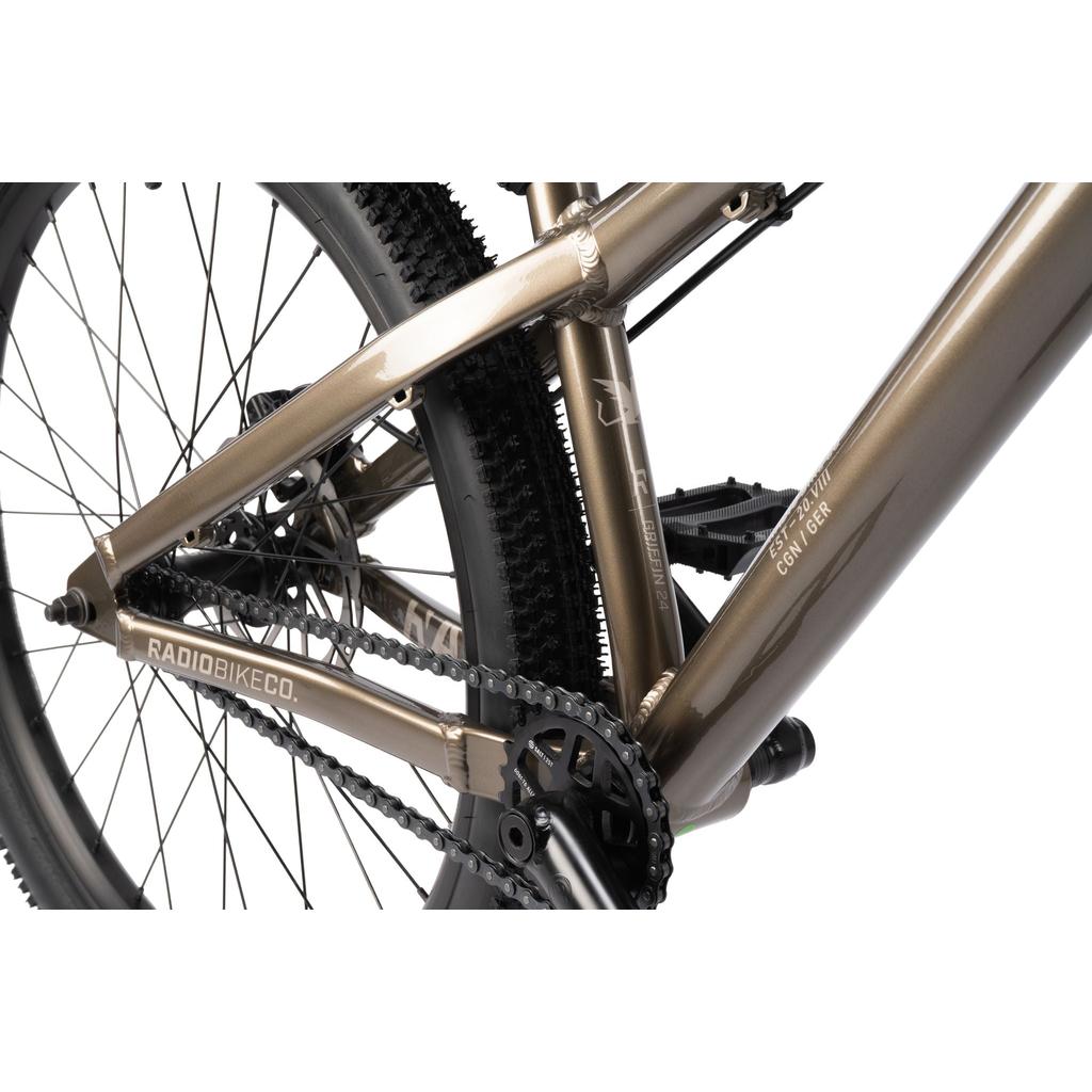Radio Griffin 24 Inch Dirt Jumper Bike