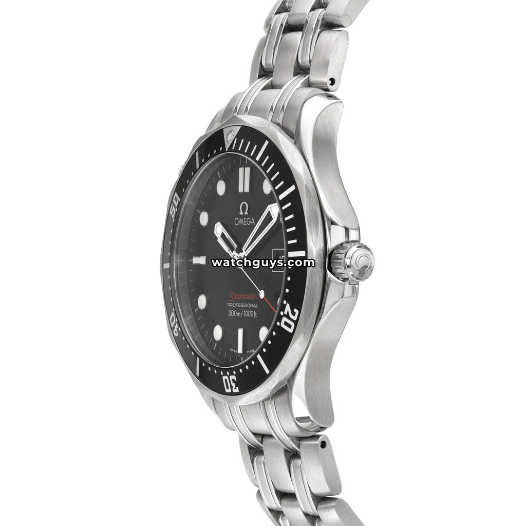 Omega Seamaster Professional 300M 212.30.41.61.01.001