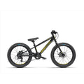 Radio 20 Inch Zuma Bike