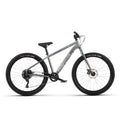 Radio 26 Inch Zuma Bike