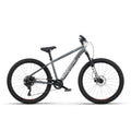 Radio 26 Inch Zuma Sus Bike