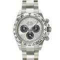 Rolex Daytona 116509 Steel Dial 18K White Gold