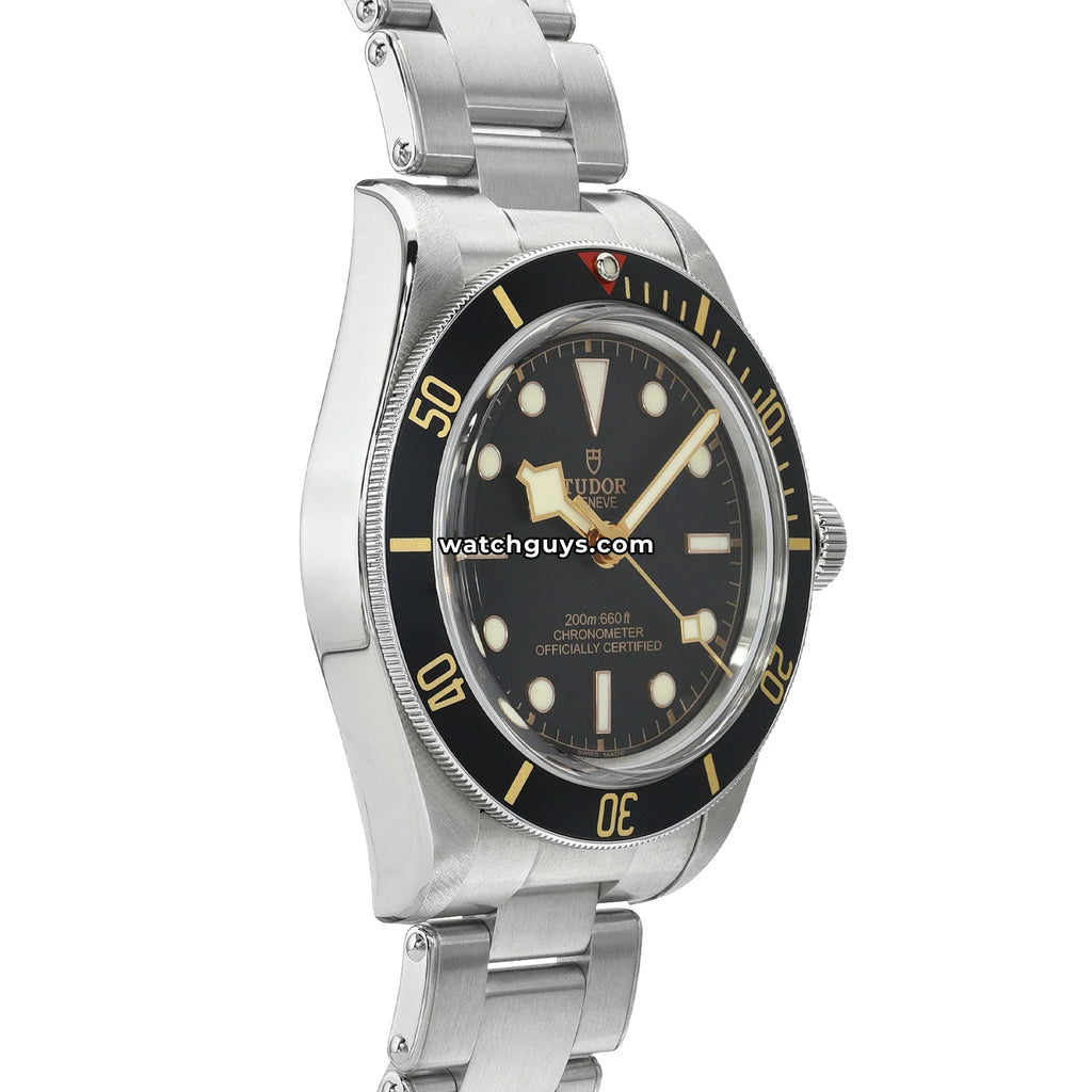 Tudor Black Bay 58 79030N