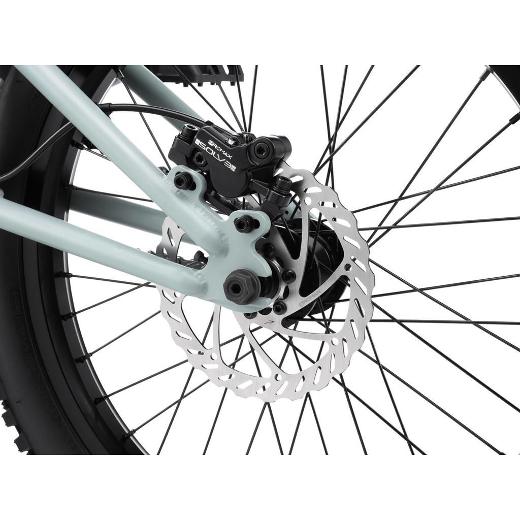 Wethepeople Swampmaster 20 Inch Bike