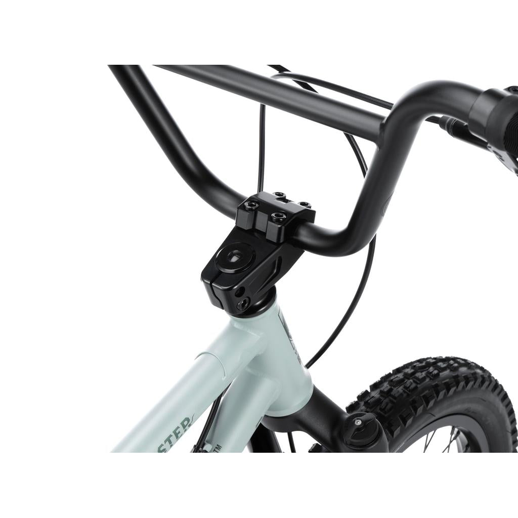 Wethepeople Swampmaster 20 Inch Bike